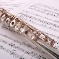 Northern Westchester Flute Ensemble in Concert