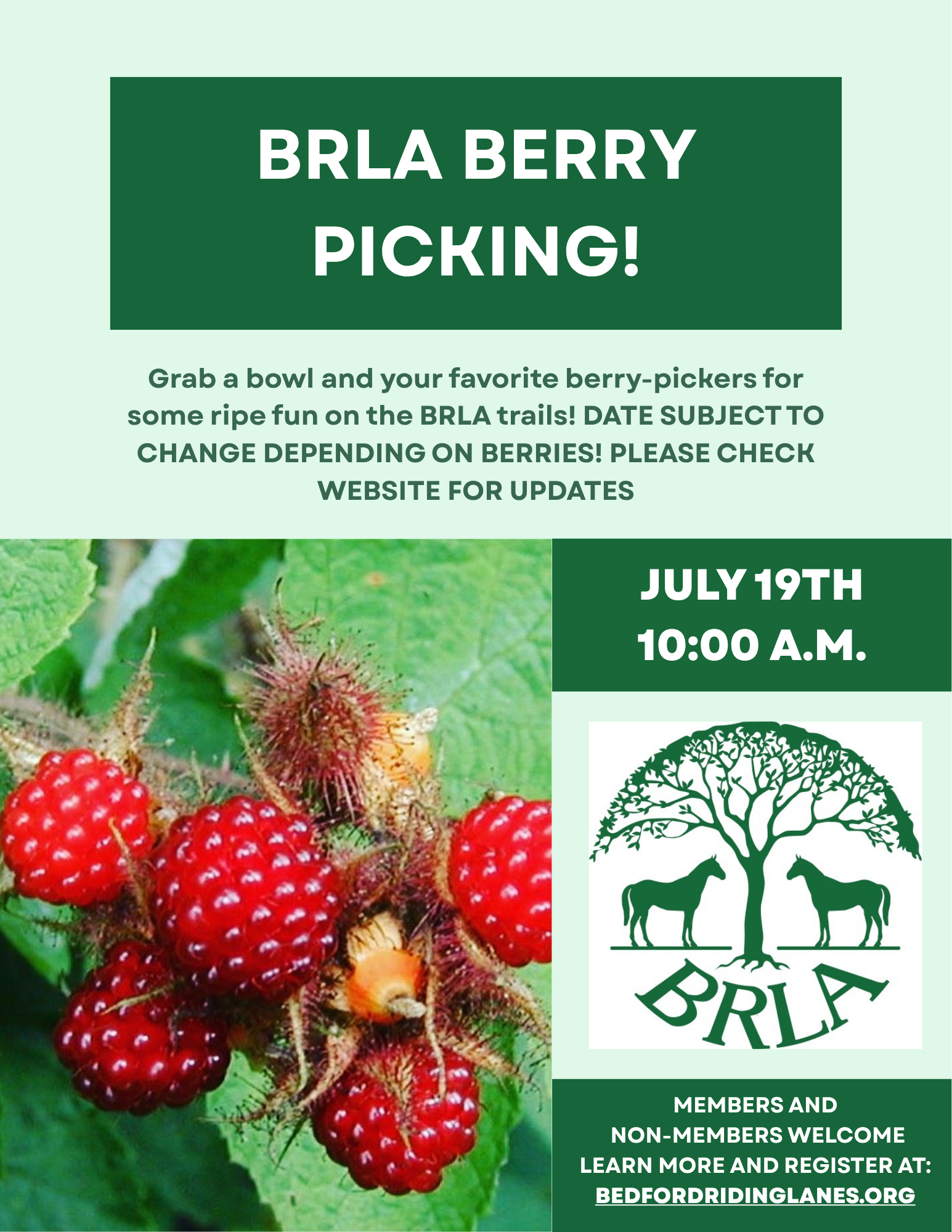 BRLA Berry Picking!