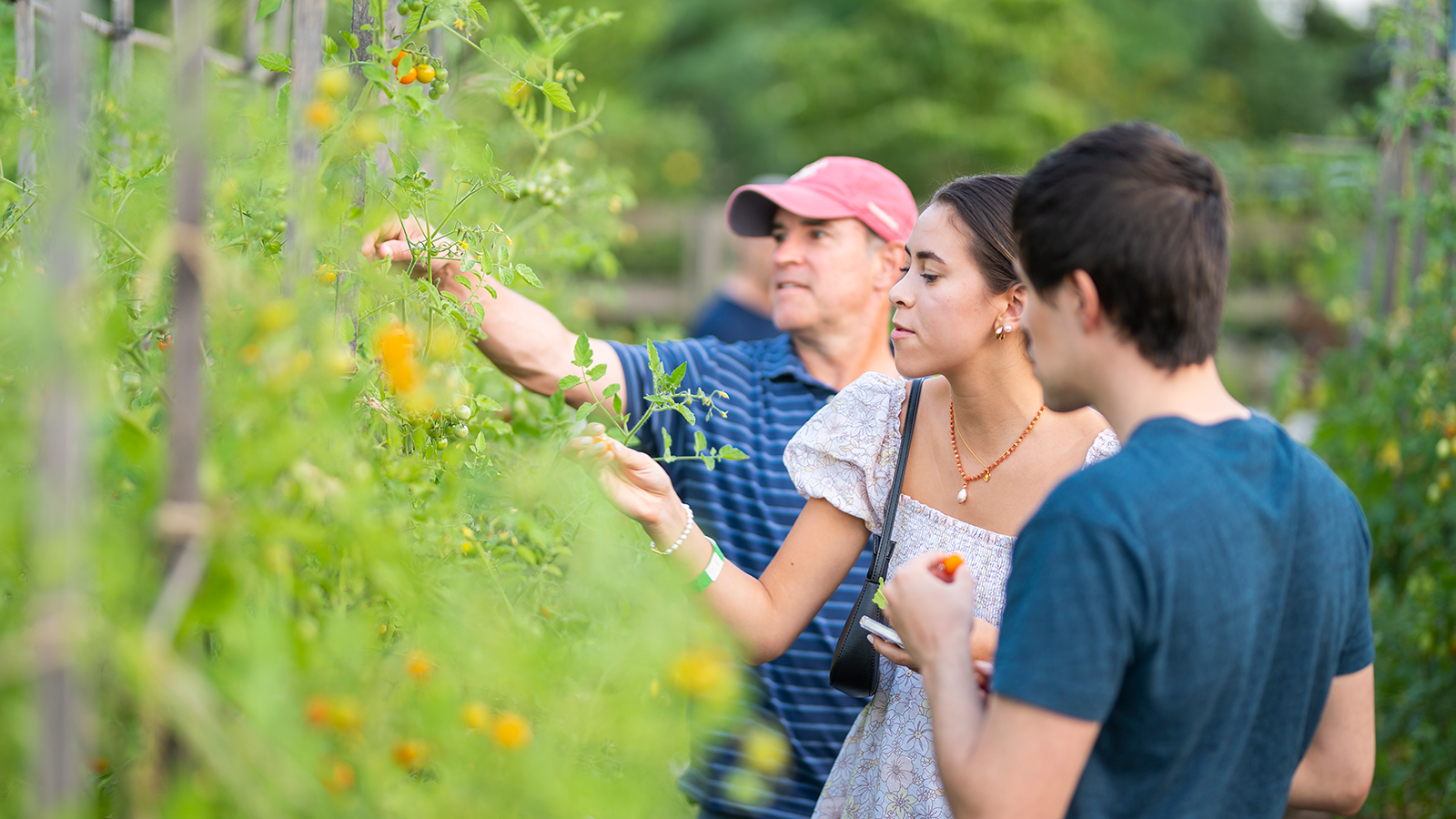 Learning with Nature | Tomato Loves Basil