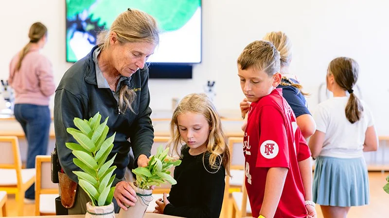 Nature Studio for Children 