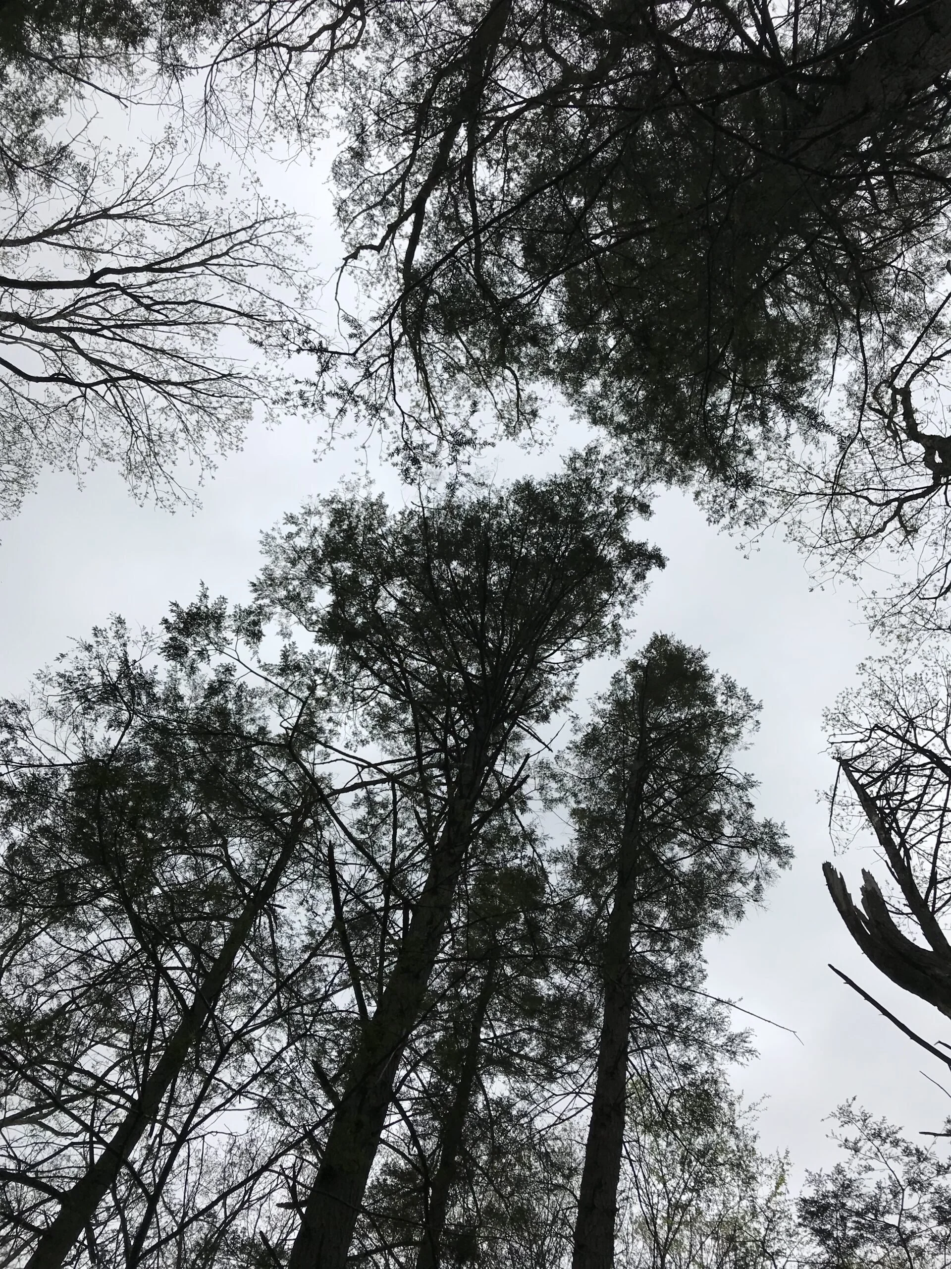 Fall Walk at Taylor Preserve