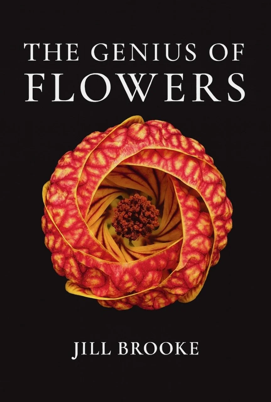 The Genius of Flowers with Jill Brooke