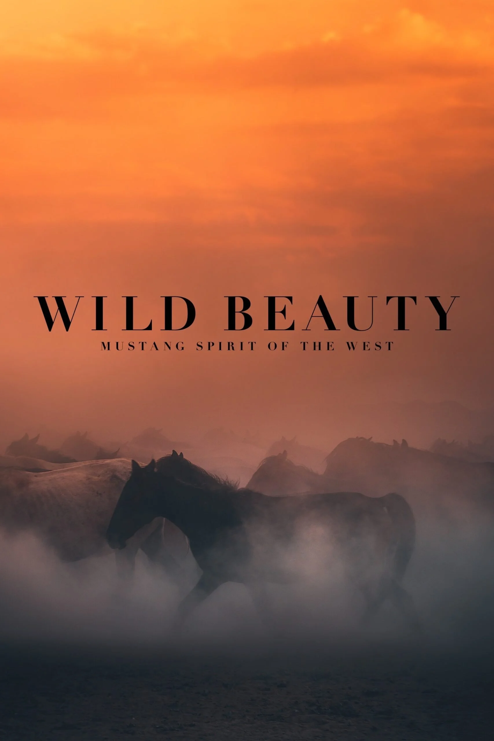 Wild Beauty: Mustang Spirit of the West with Ashley Avis