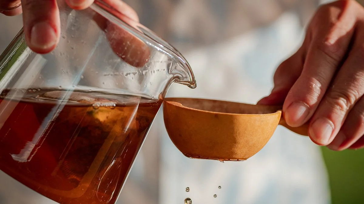 Journey into the World of Tea | Oolong and Pu-erhs