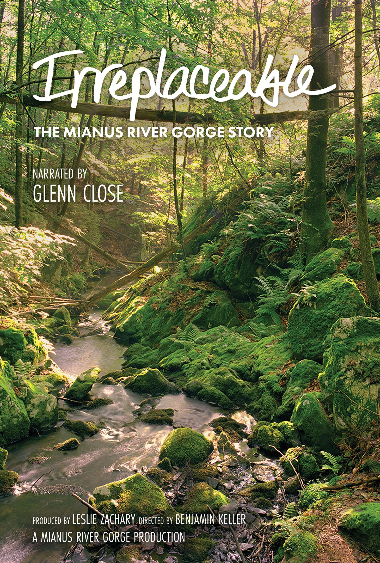  Irreplaceable: The Mianus River Gorge Story