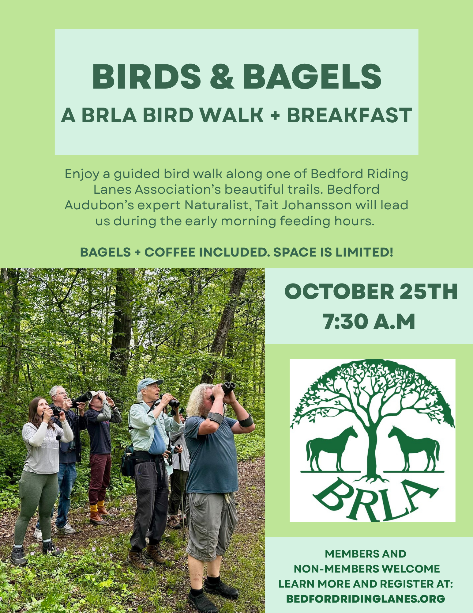 Birds & Bagels -- A Bird Walk + Breakfast!