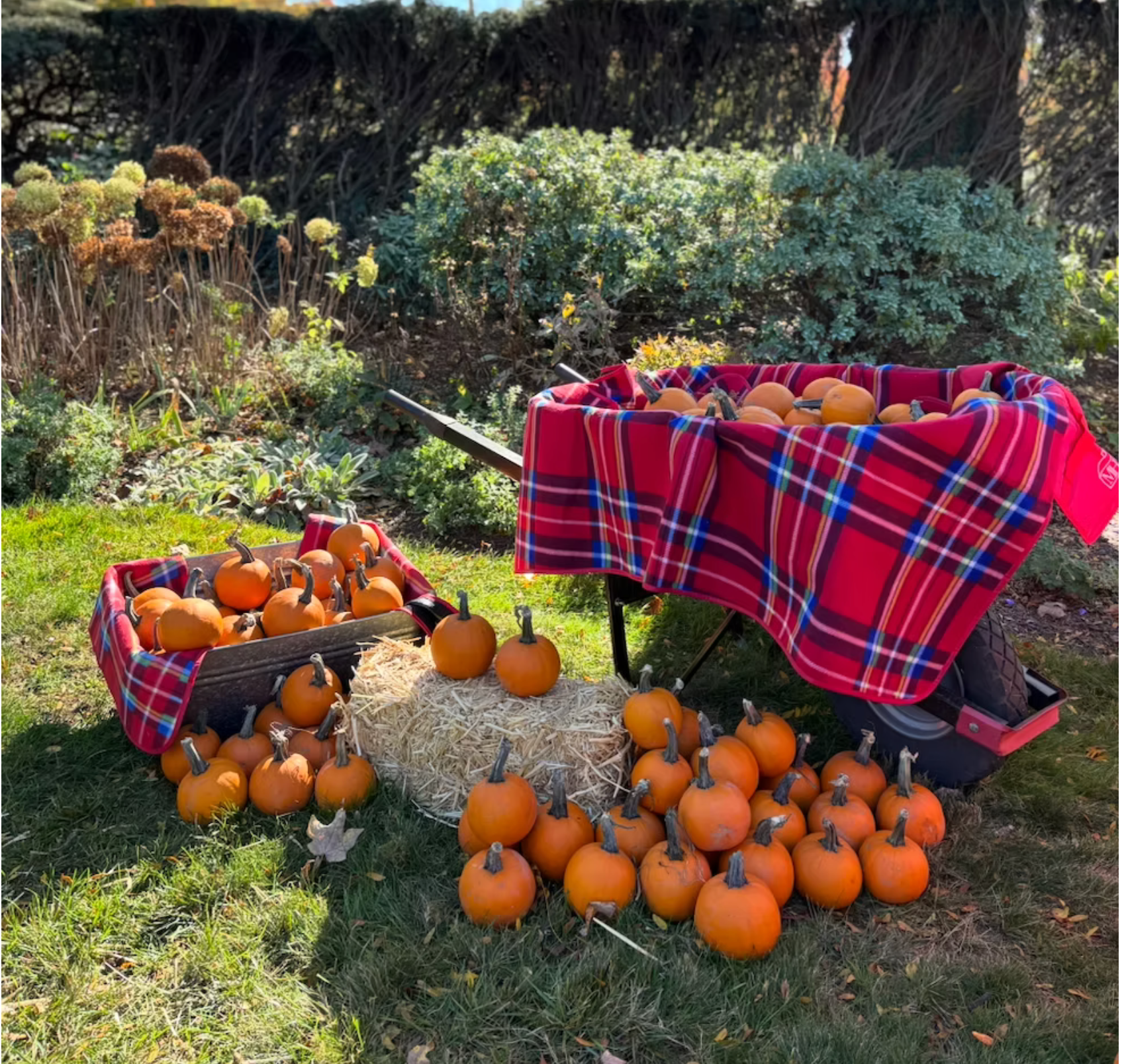 Mather Homestead Fall Festival