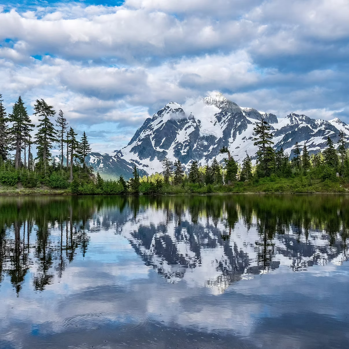 Our National Parks: Past, Present, and Future
