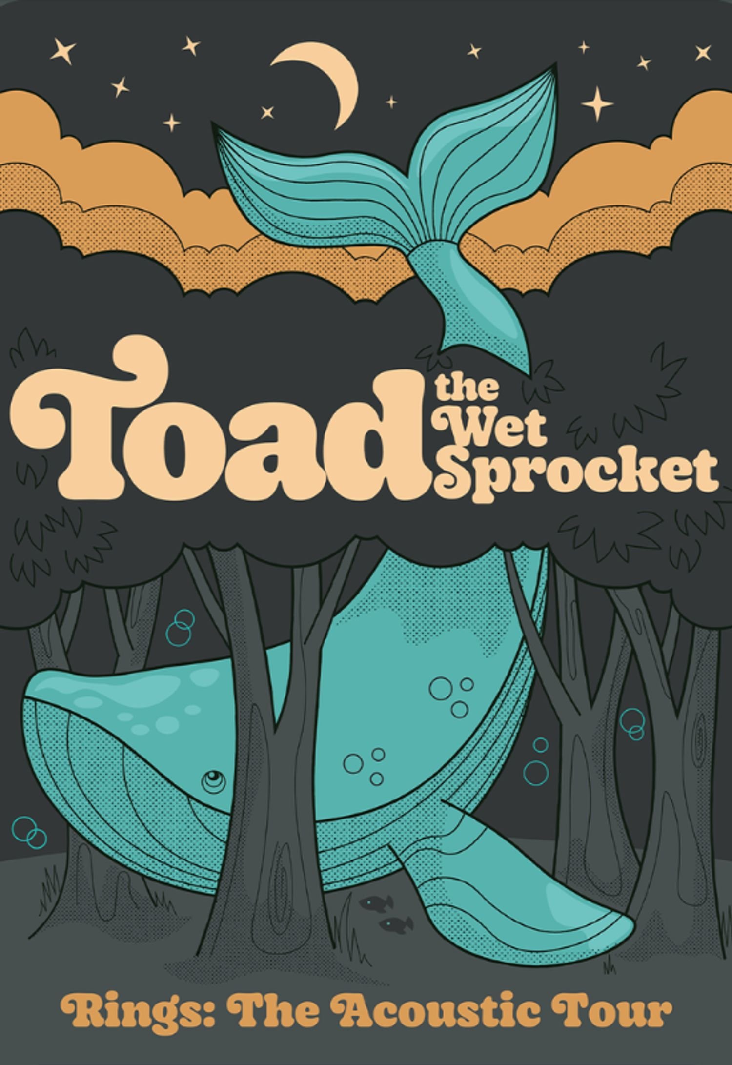 Toad the Wet Sprocket: Rings, The Acoustic Tour