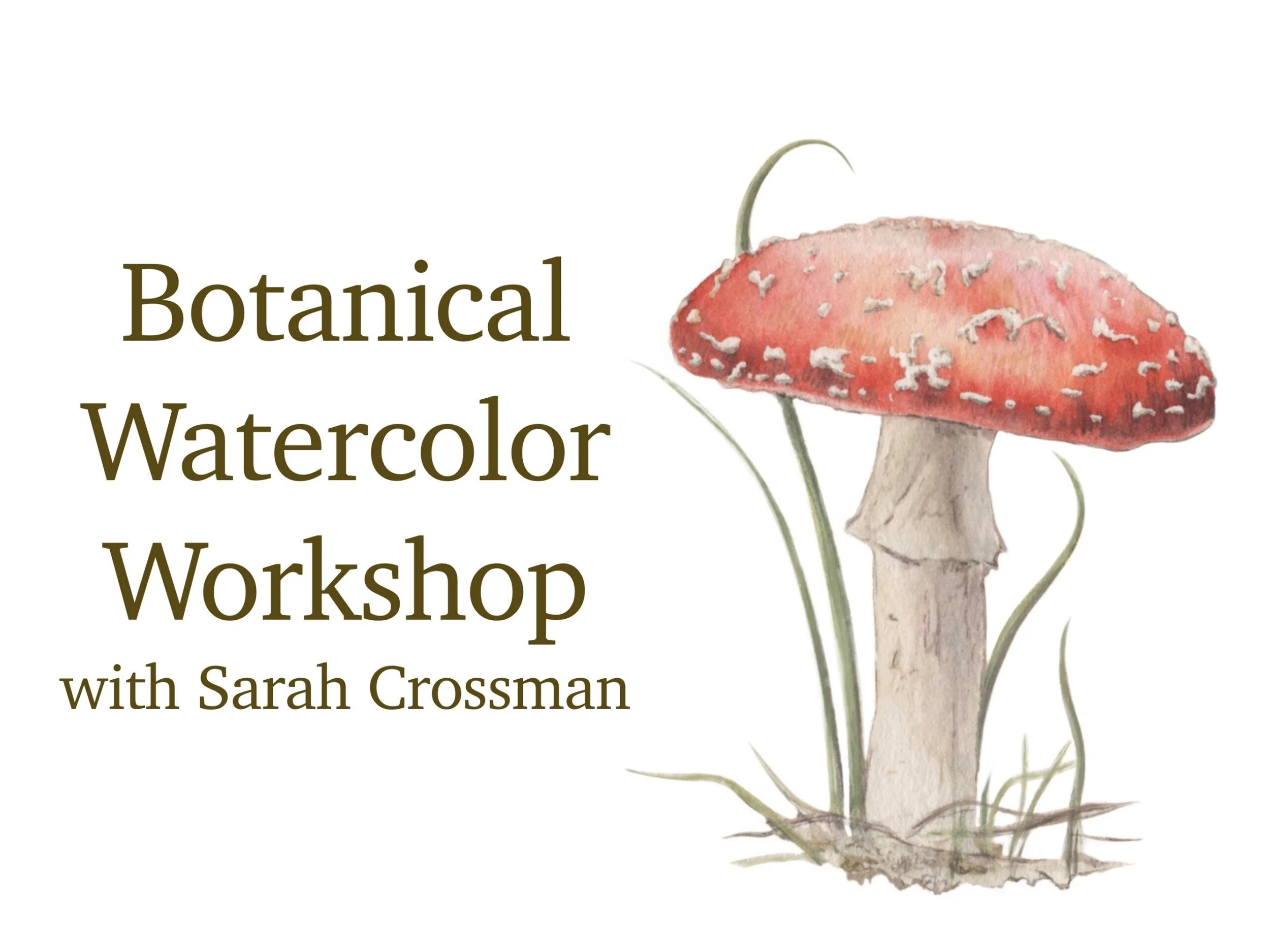Botanical Watercolor Painting with Sarah Crossman