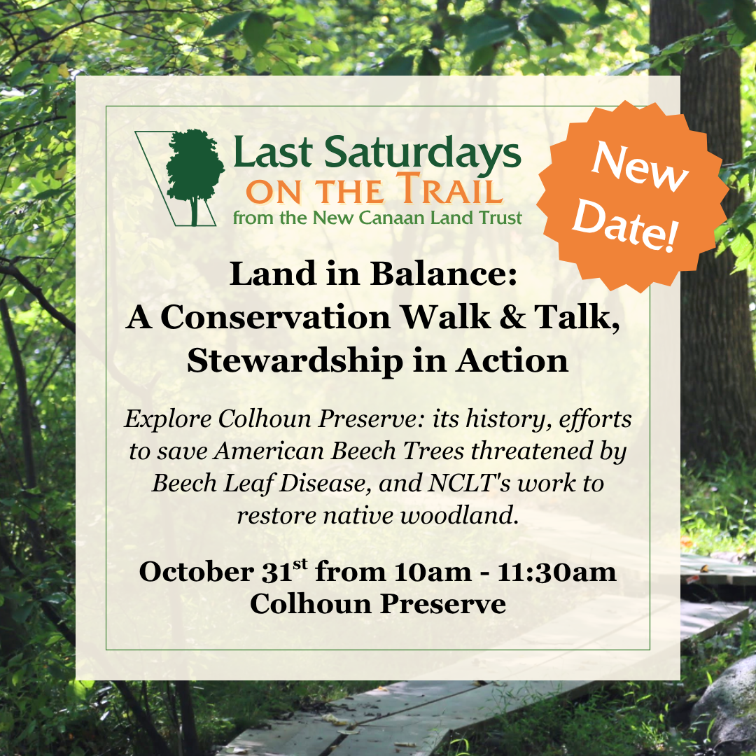 Last Saturdays on the Trail: Land in Balance