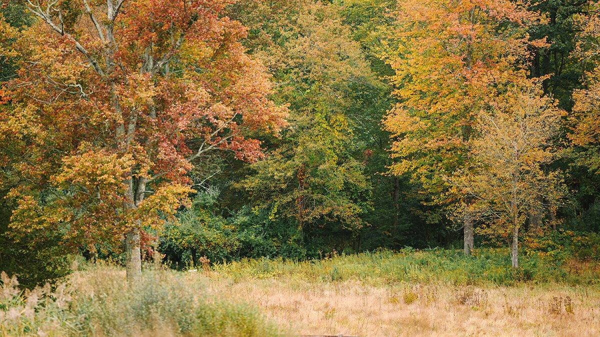 Autumn Stroll at Grace Farms