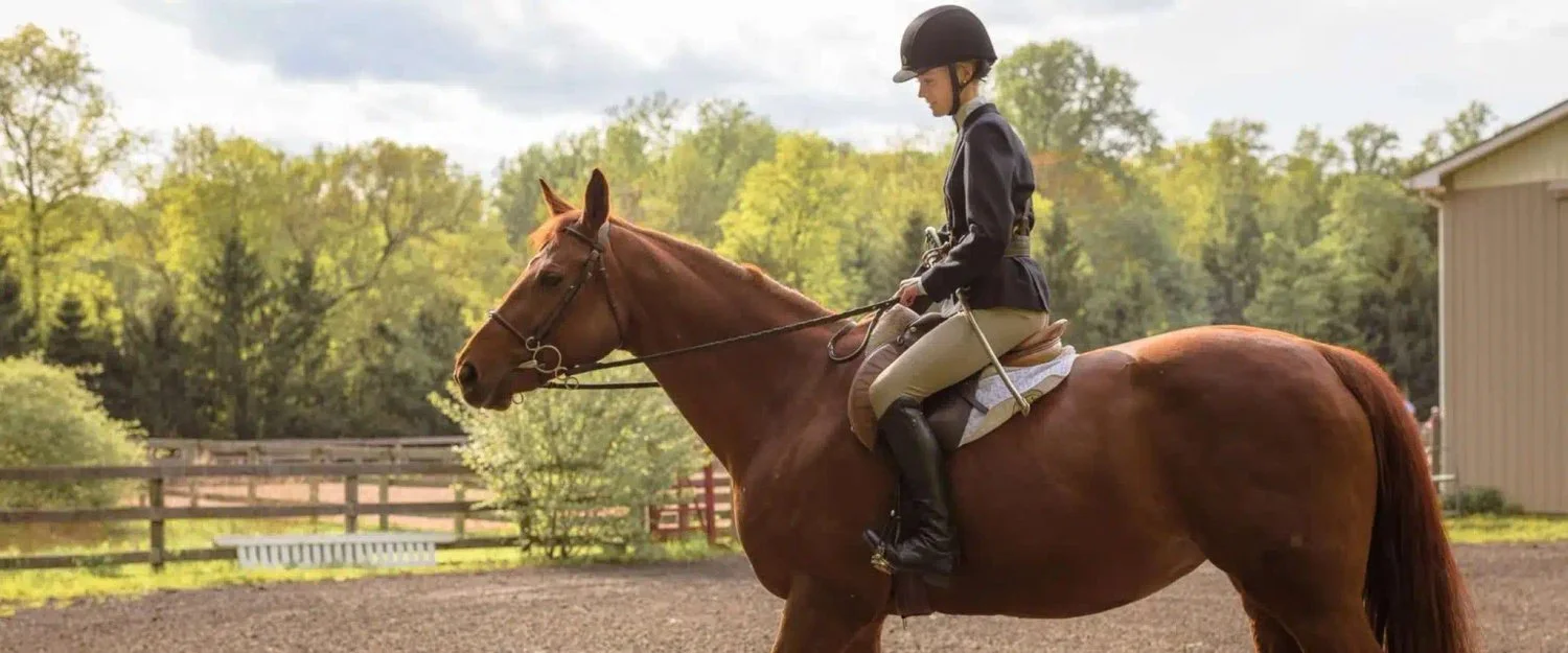 Lunch & Learn with the New Canaan Mounted Troop