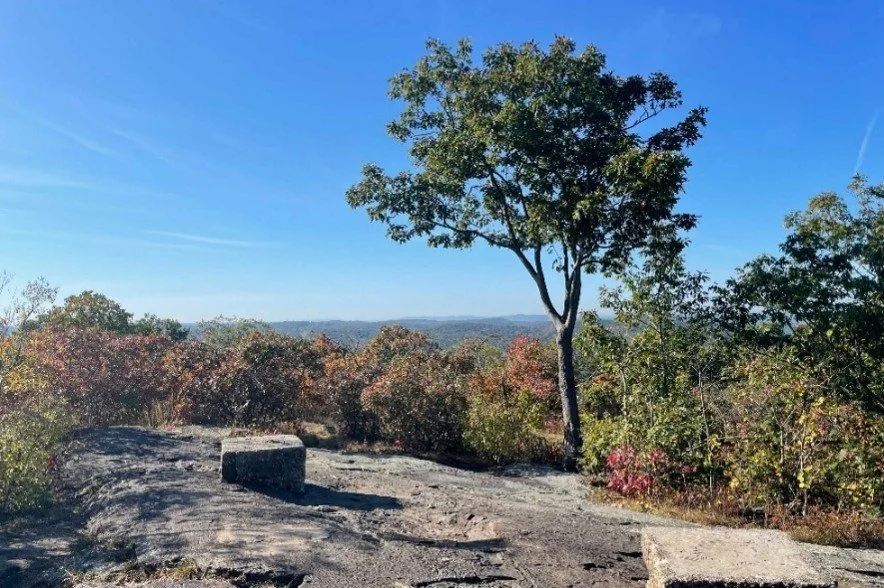 Opt Outside Black Friday Hike at Turkey Mountain Preserve