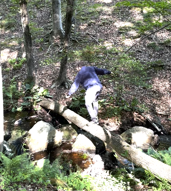 BRLA Fall Trail Hike