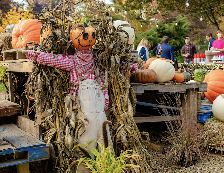 Fall Family Fun at Waveny Park
