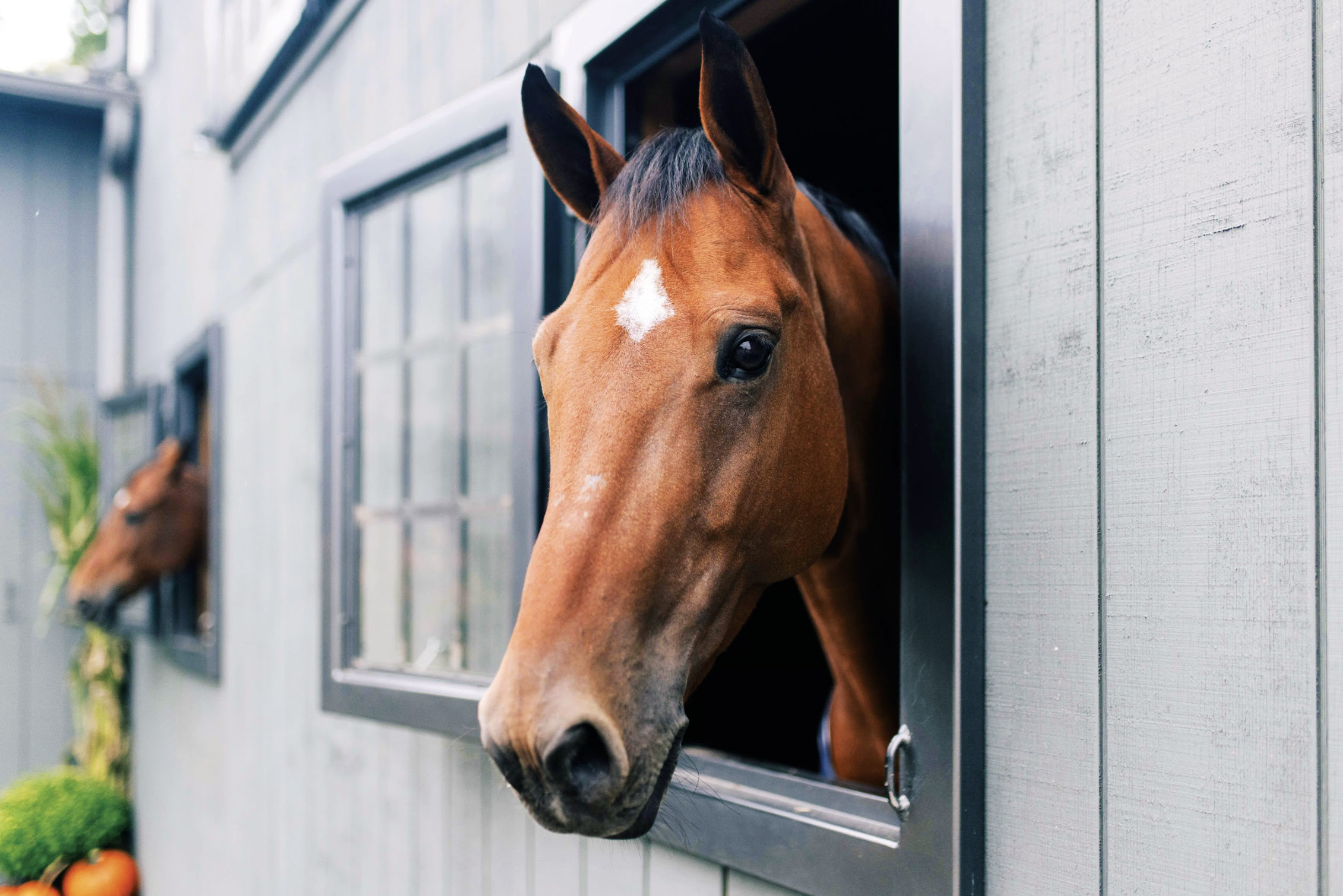 Screenshot 2026-03-03 at 5.13.00 PM.png