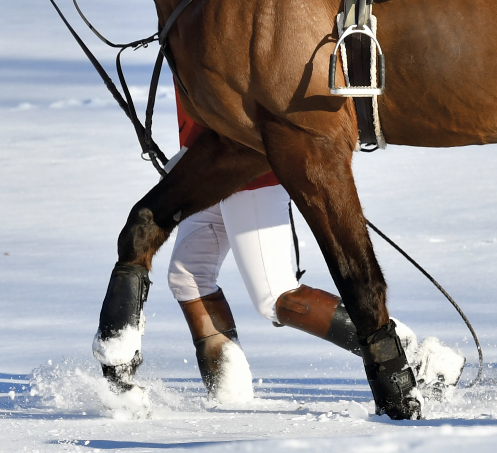 Screenshot 2026-03-03 at 5.11.52 PM.png