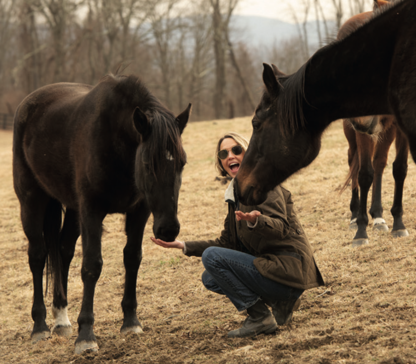 Arielle Kebbel with skydog ranch horses