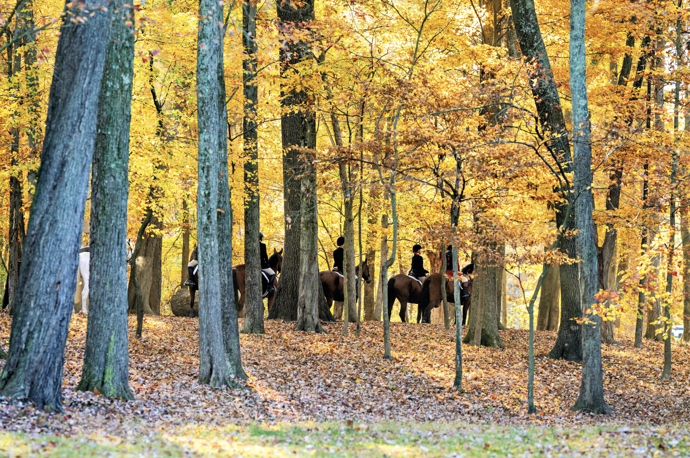 Screenshot 2026-03-03 at 5.13.24 PM.png