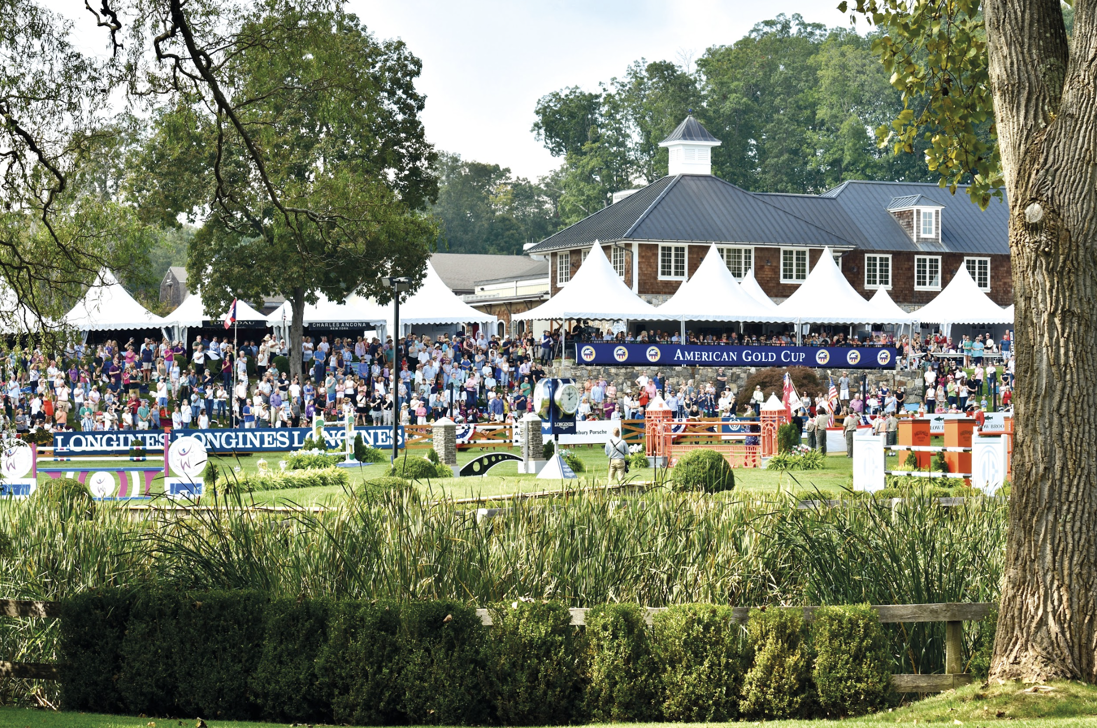 Screenshot 2026-03-03 at 5.12.12 PM.png