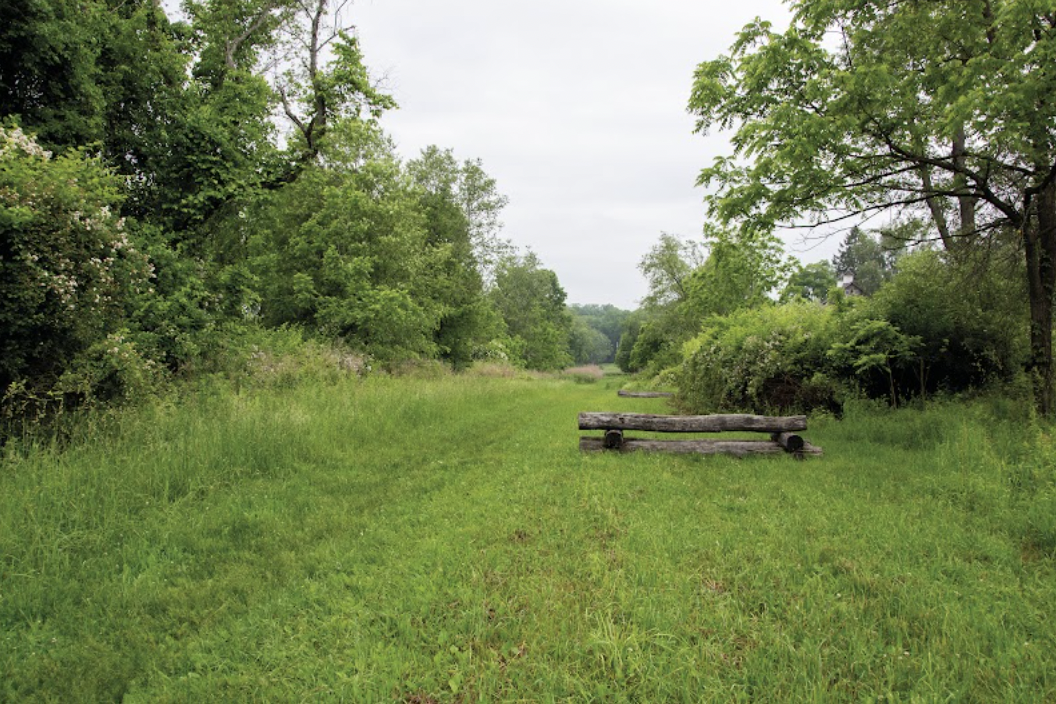 Screenshot 2026-03-03 at 5.12.25 PM.png