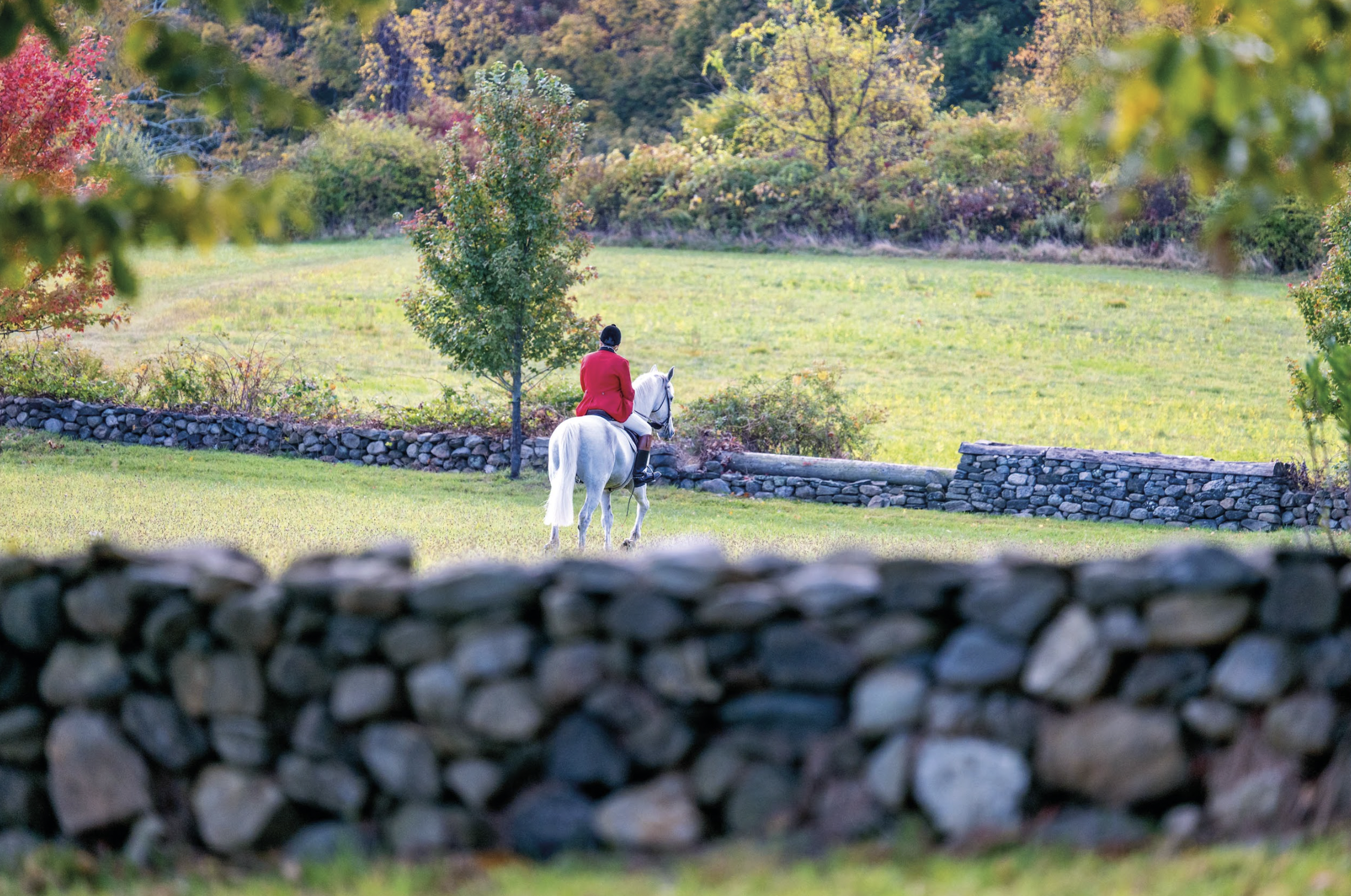 Screenshot 2026-03-03 at 5.12.07 PM.png