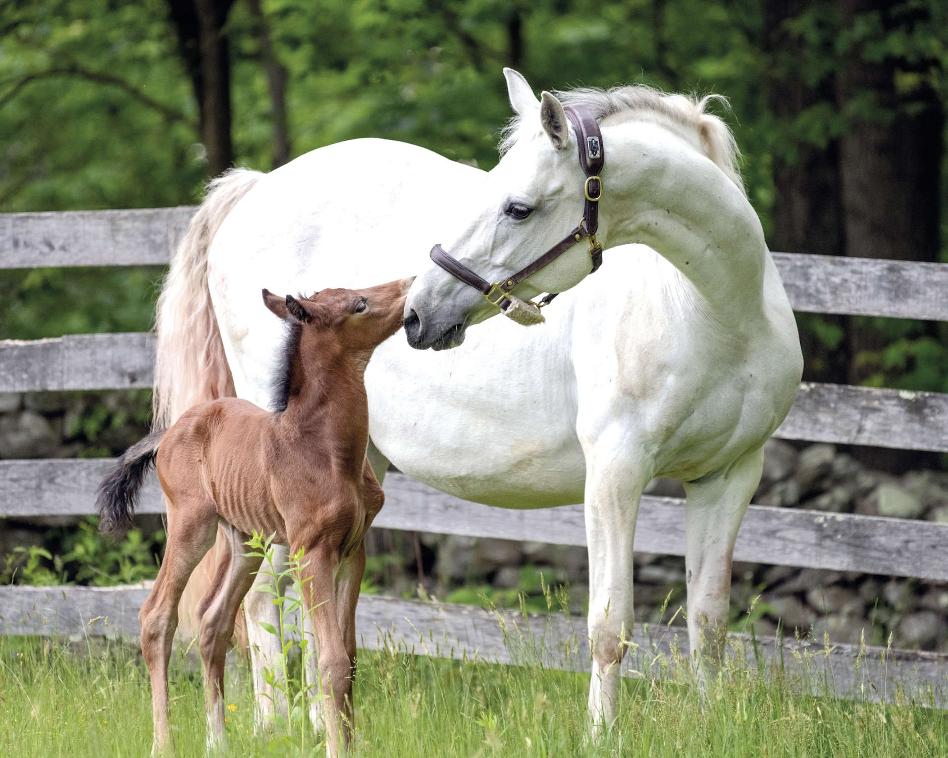 Screenshot 2026-03-03 at 5.13.37 PM.png