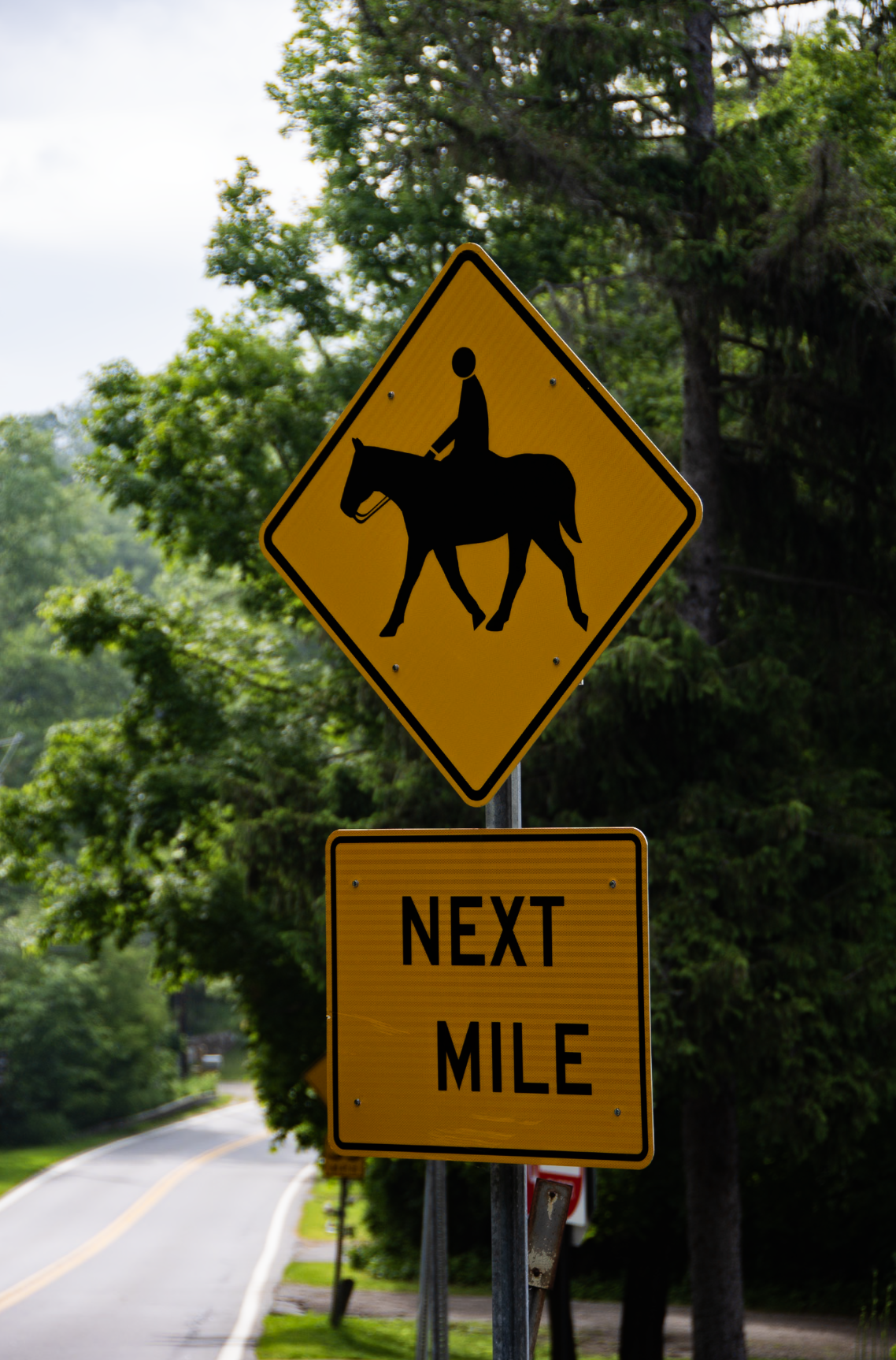 Screenshot 2026-03-03 at 5.09.07 PM.png