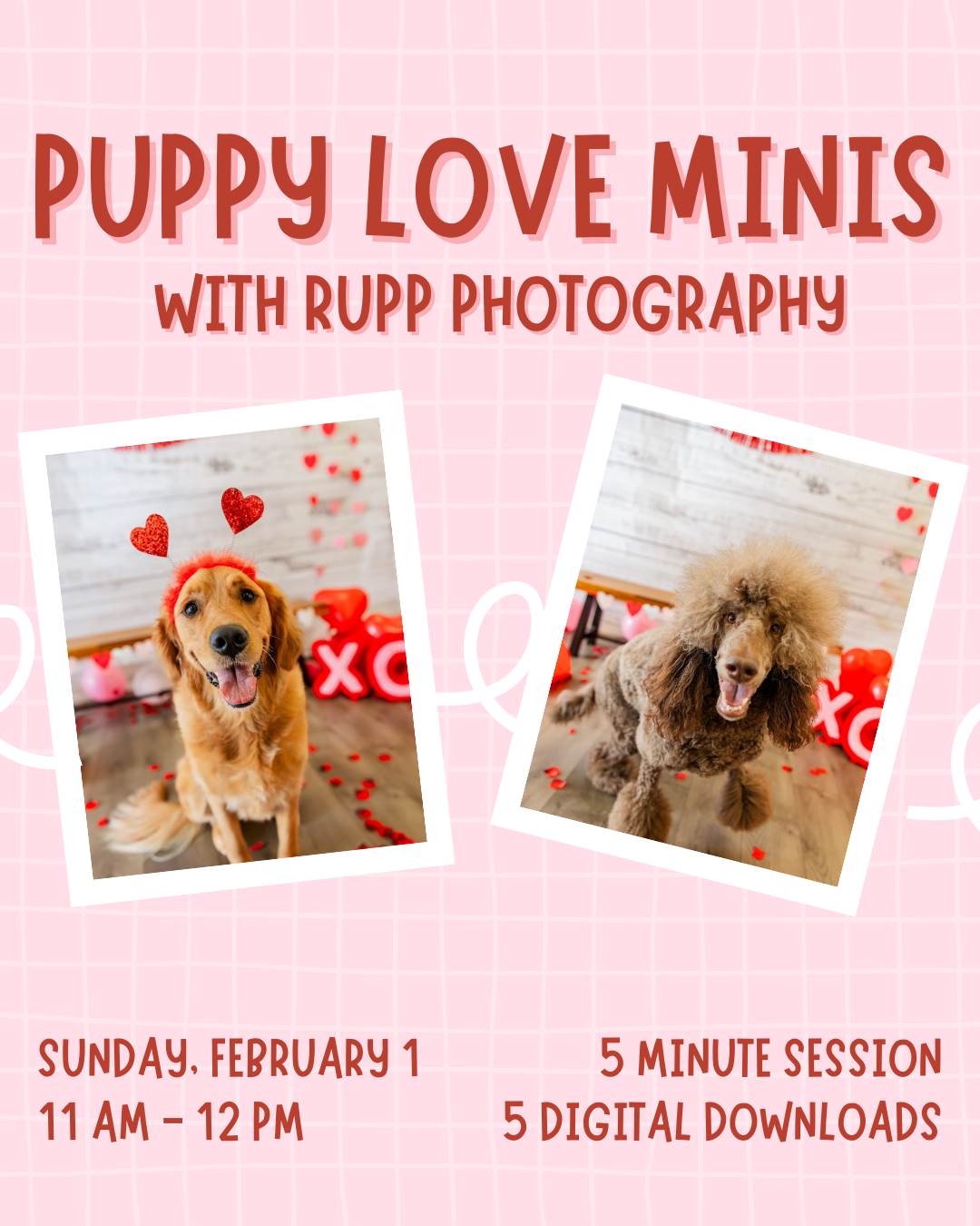 Puppy Love Minis with Rupp Photography