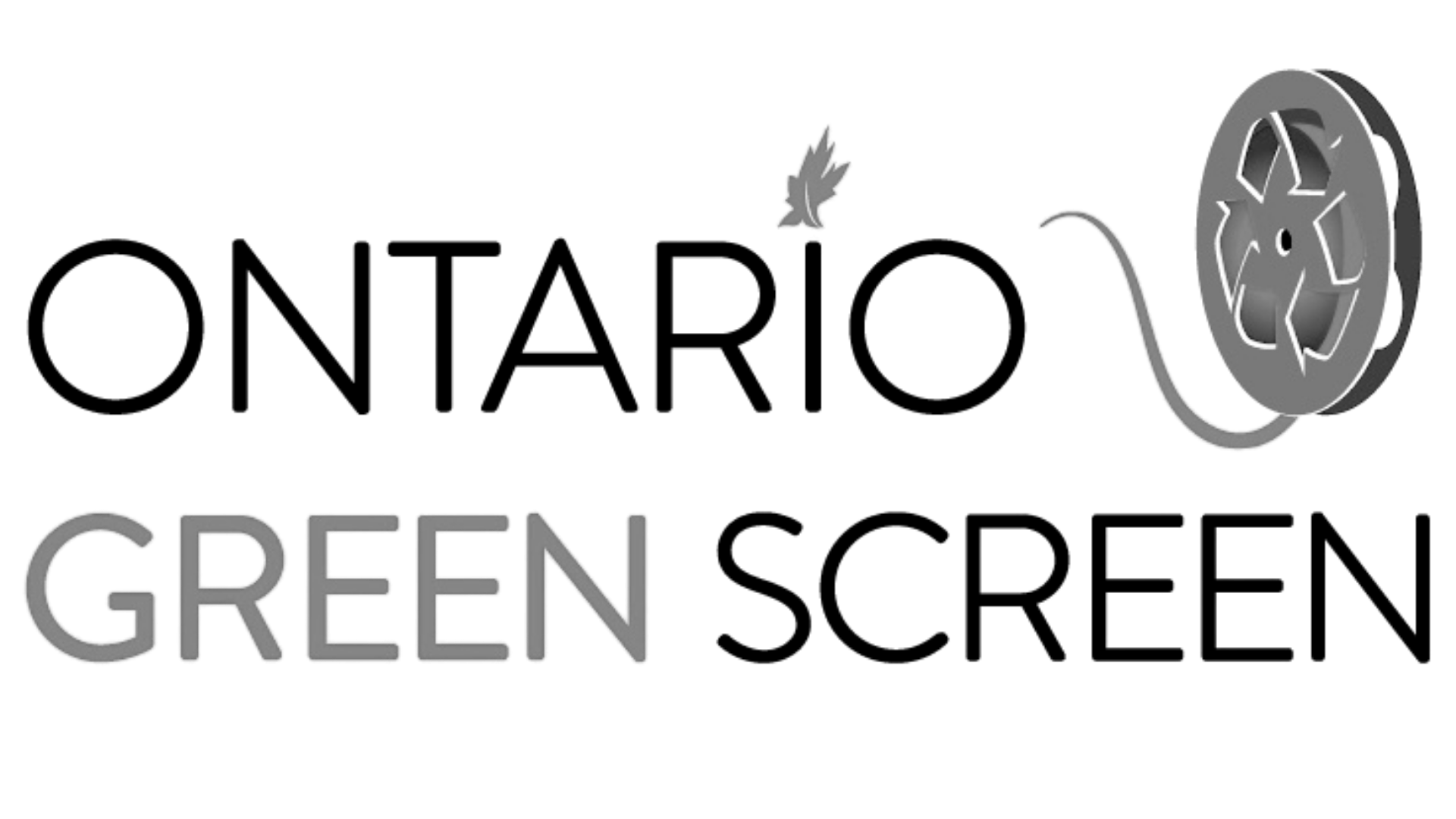 Samantha Rice, NABET Representation in the Ontario Green Screen Advisory Committee