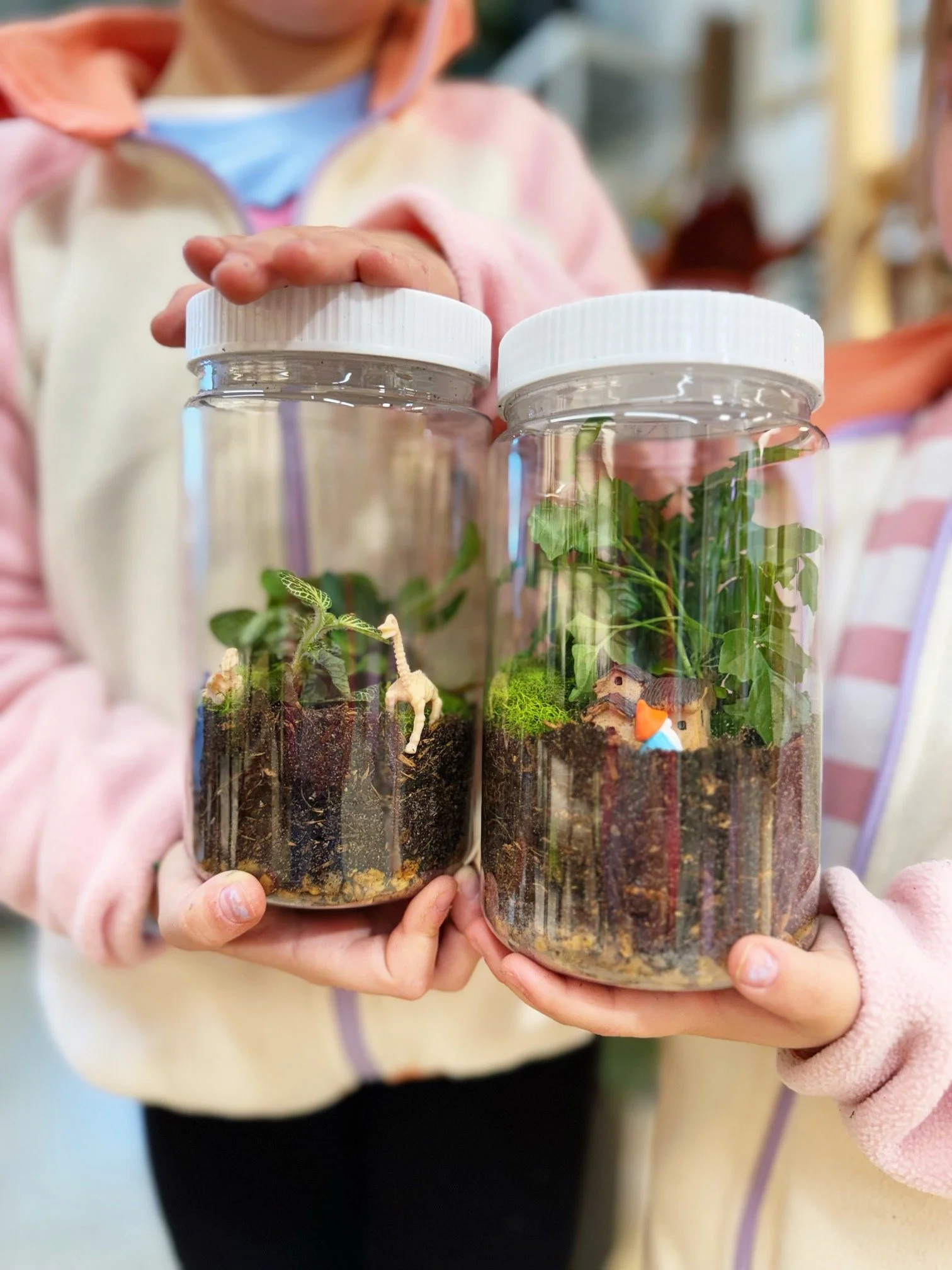 Kids Terrarium Class - February 13th & February 14th
