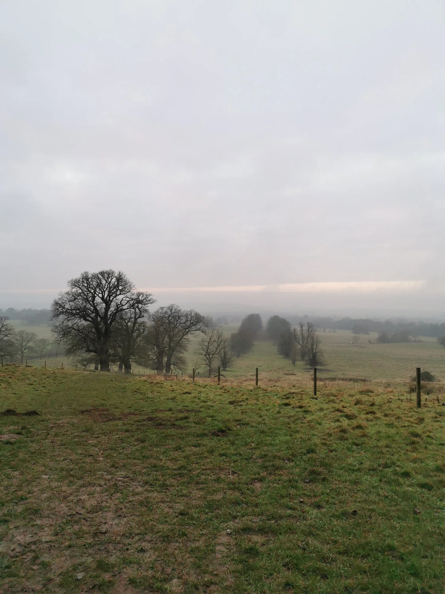 An Immersion in Values: Reflections on the Past Year