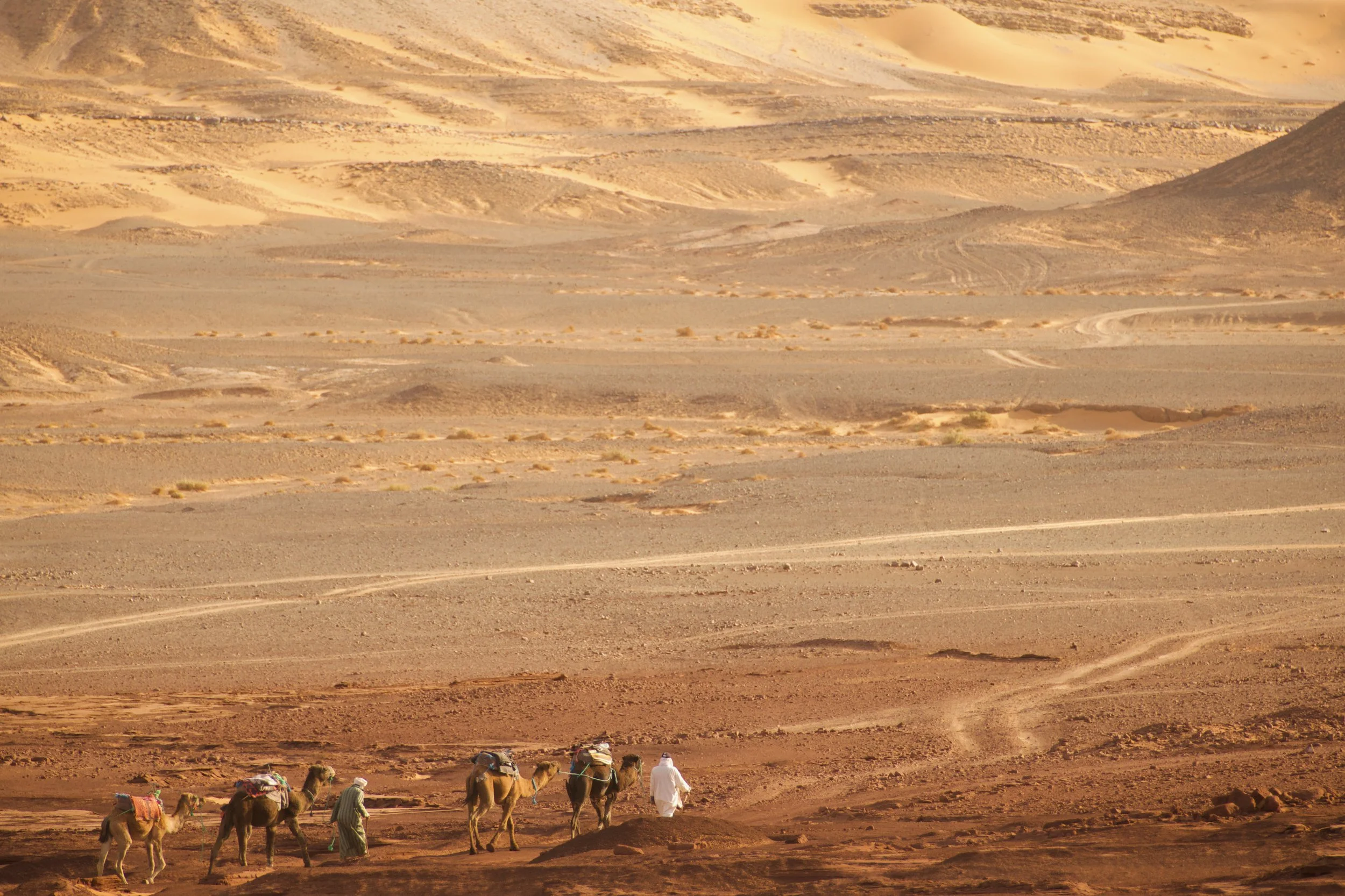 edge of Sahara Desert, Morocco