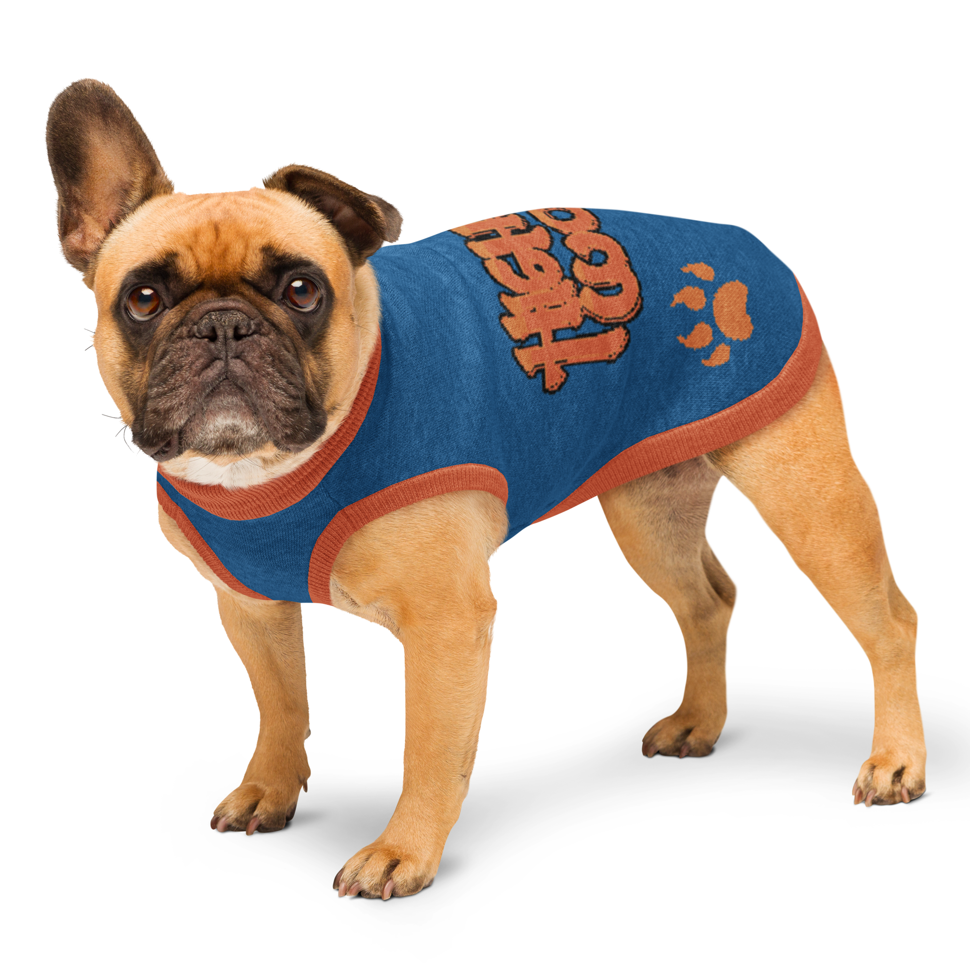 knitted-pet-sweater-custom-m-left-front-695bffd6cdaa1.png