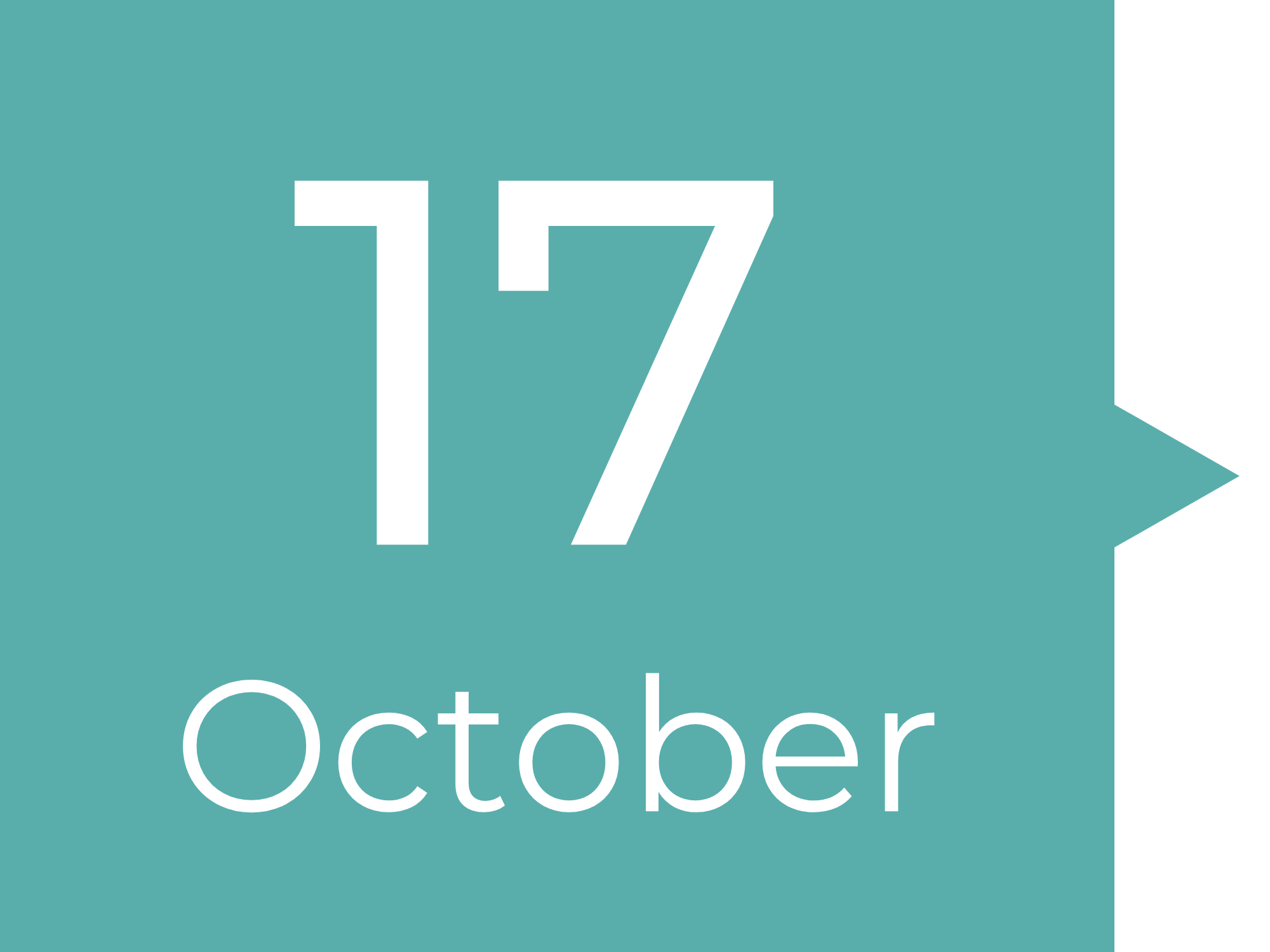 PROFESSIONAL SPOTLIGHT: BECKY MATTHEWS