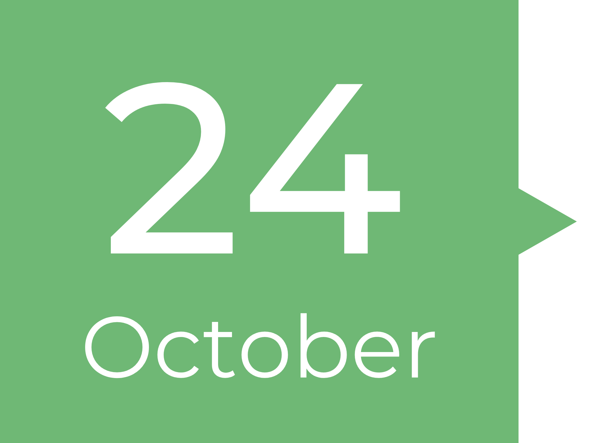 PROFESSIONAL SPOTLIGHT: PAIGE COLLINS