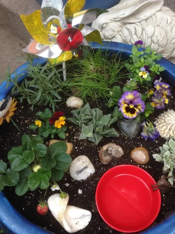 Small Sensory Garden.jpeg