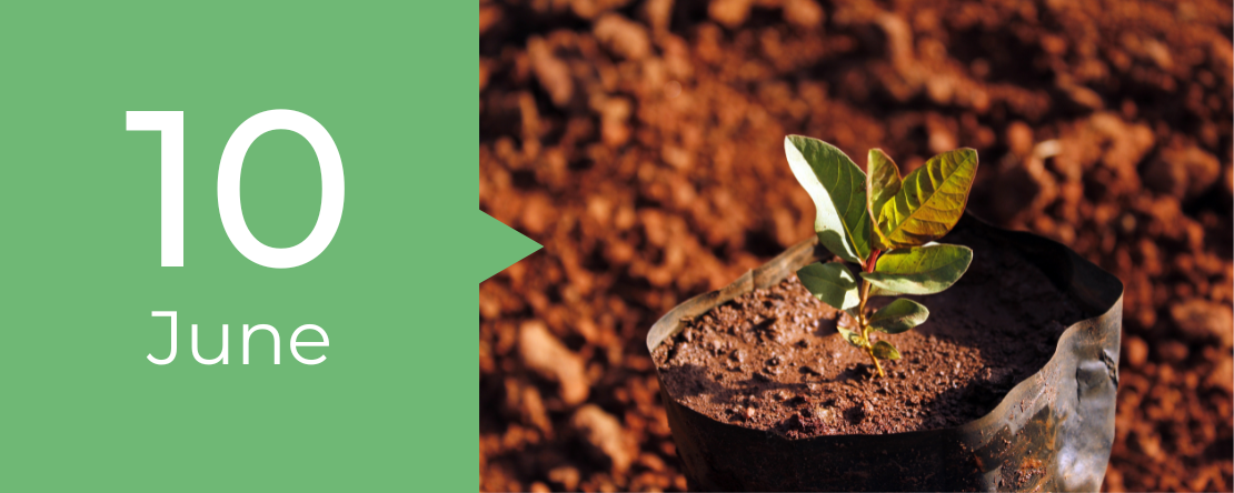 THE CHALLENGE OF CHANGE: STRATEGIES FOR WELL-BEING (ELGIN)