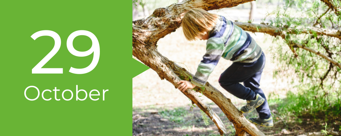 Embracing Risky Play: Empowering Educators to Lead Adventures, Indoors and Outdoors