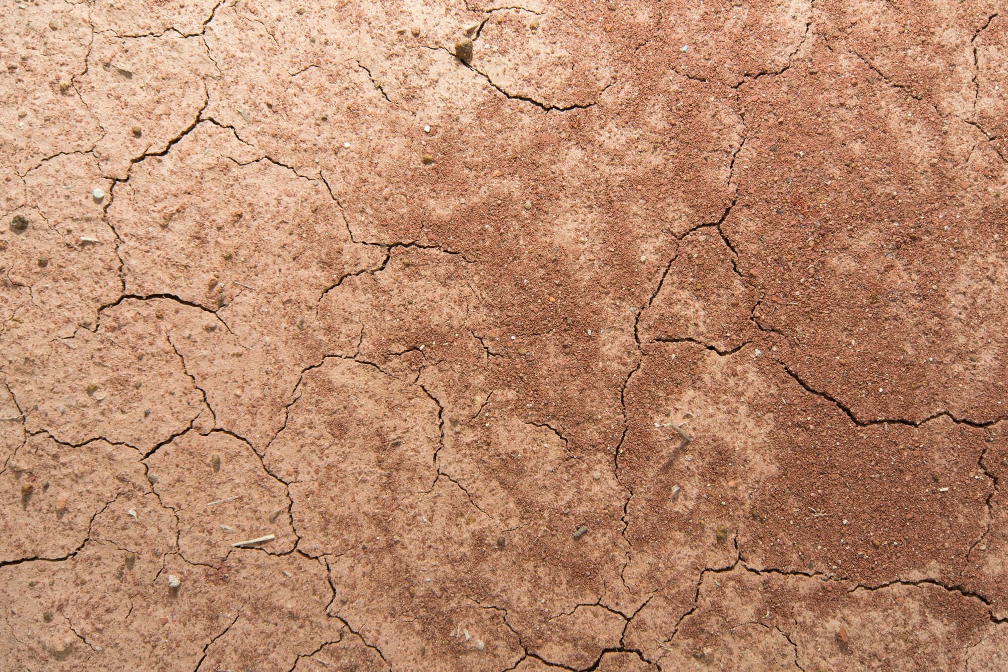 Ash Wednesday: showered with stars