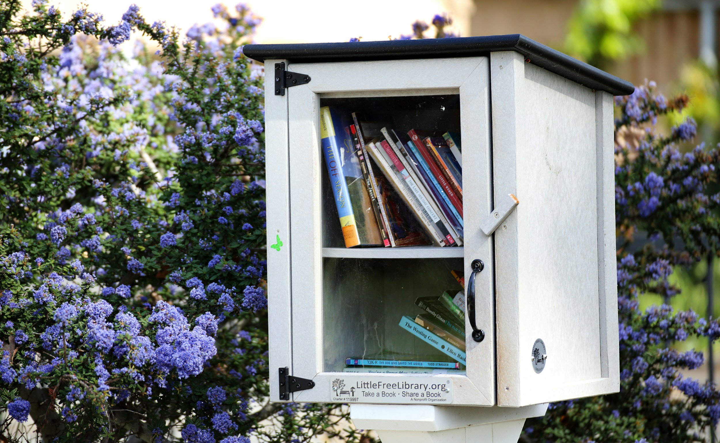 Small outdoor book exchange box labeled "Little Free Library" filled with books, surrounded by purple flowers.
