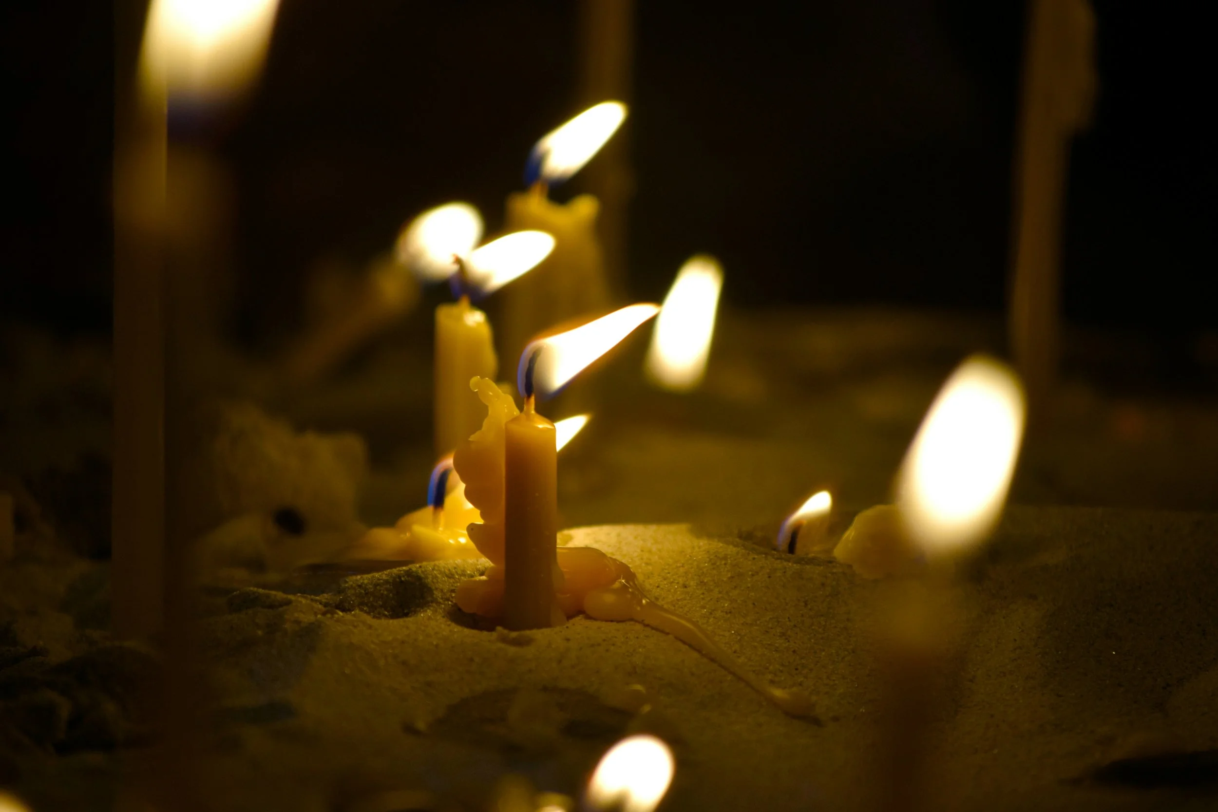 Invitation to the light
