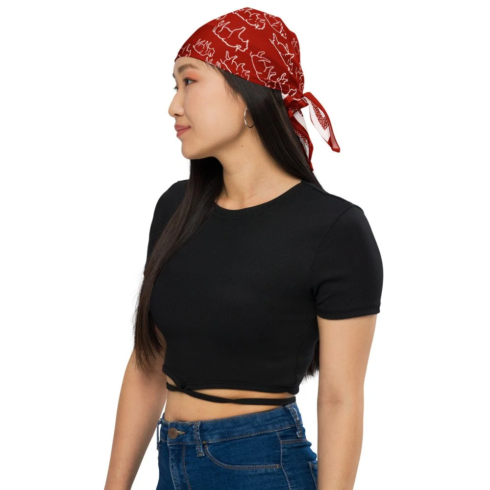 all-over-print-bandana-white-l-front-69d538732a9c5.jpg