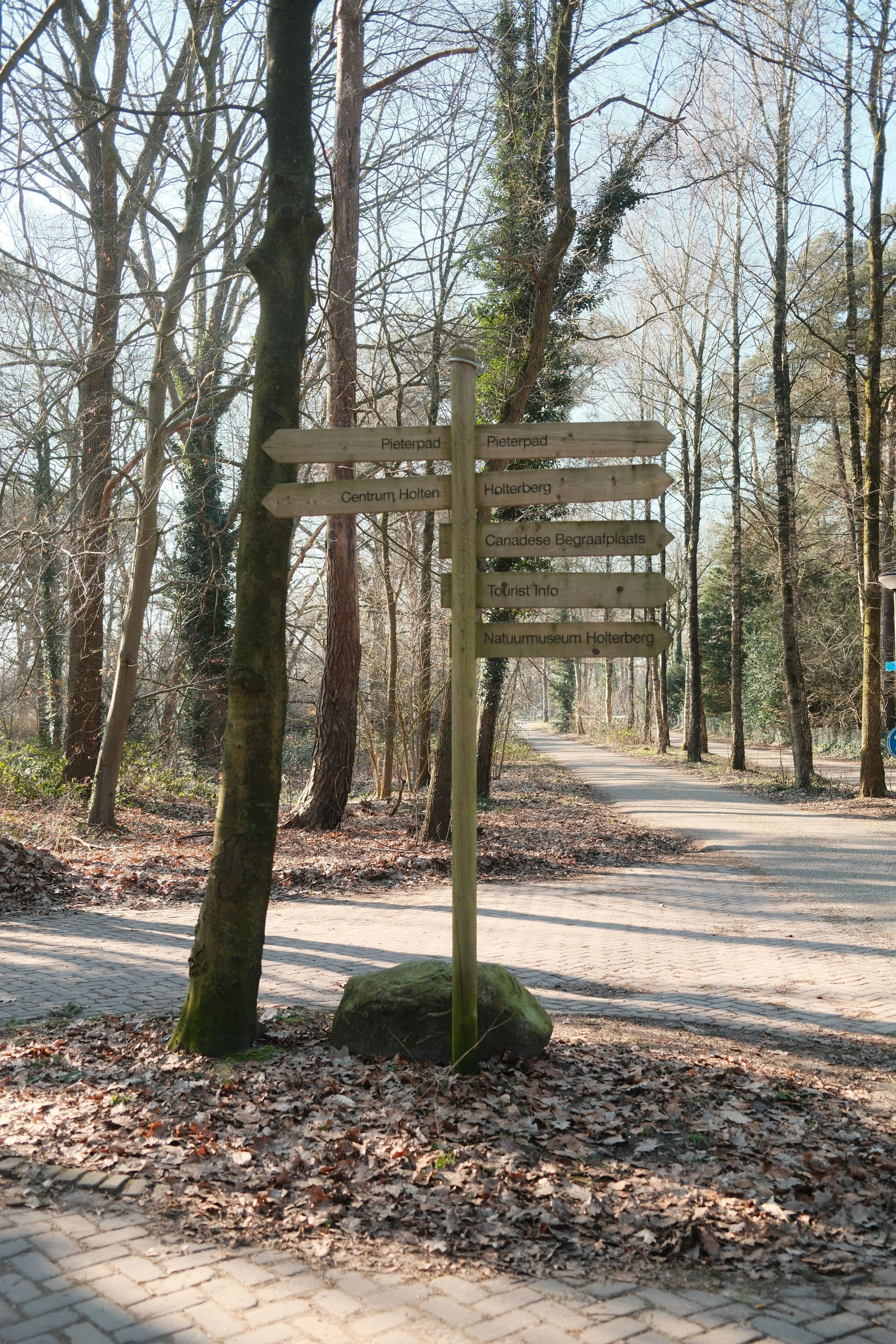 Voorjaar bij Hoog Holten