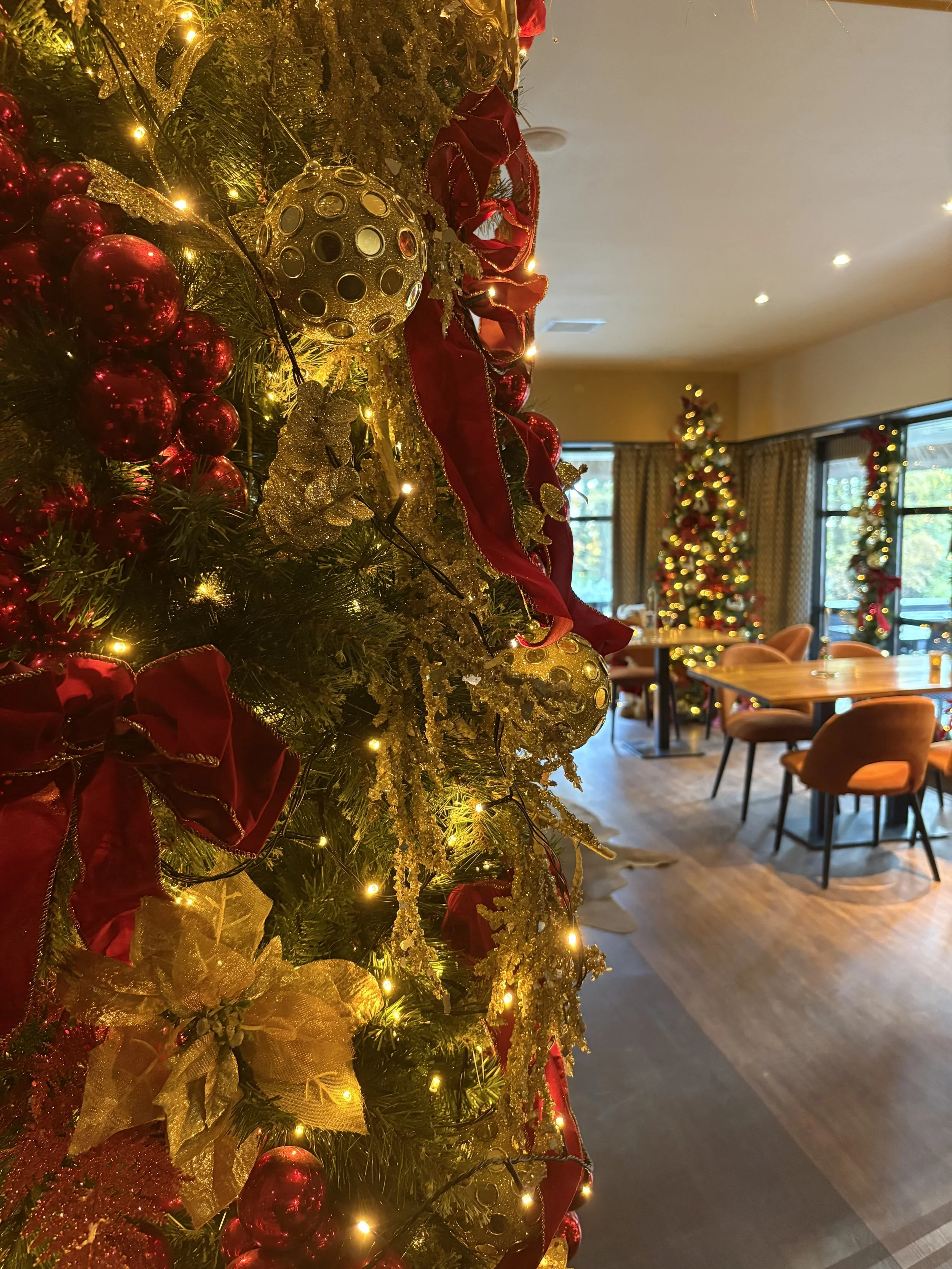 De serre volledig versierd in kerstsferen, ornamenten en kerstbomen