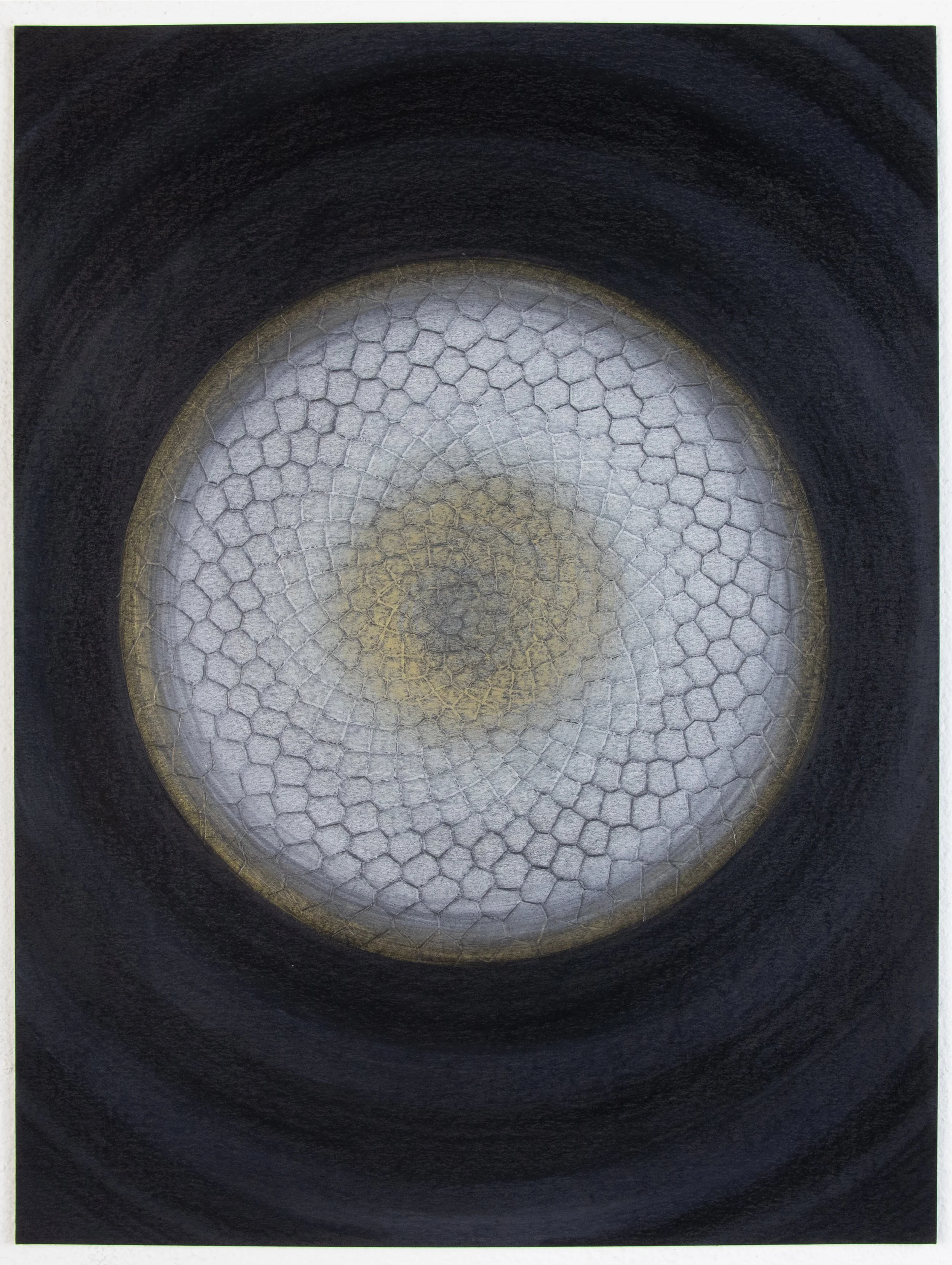 91