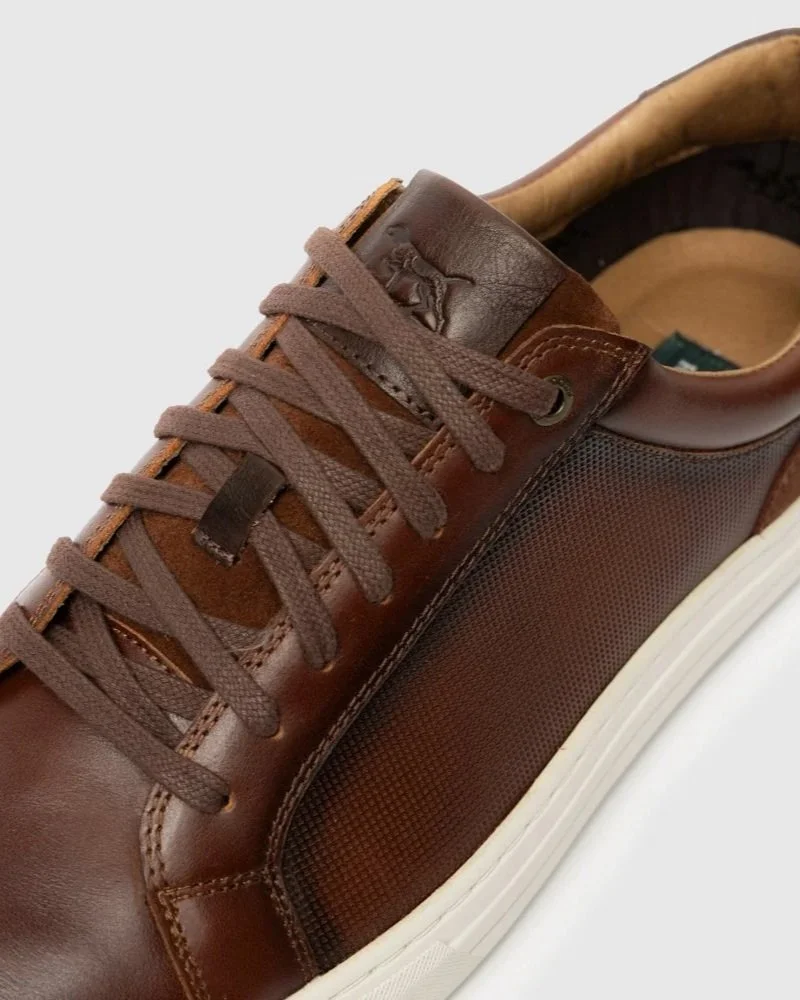 ZX0572_CHESTNUT_DT2_LGE.jpg