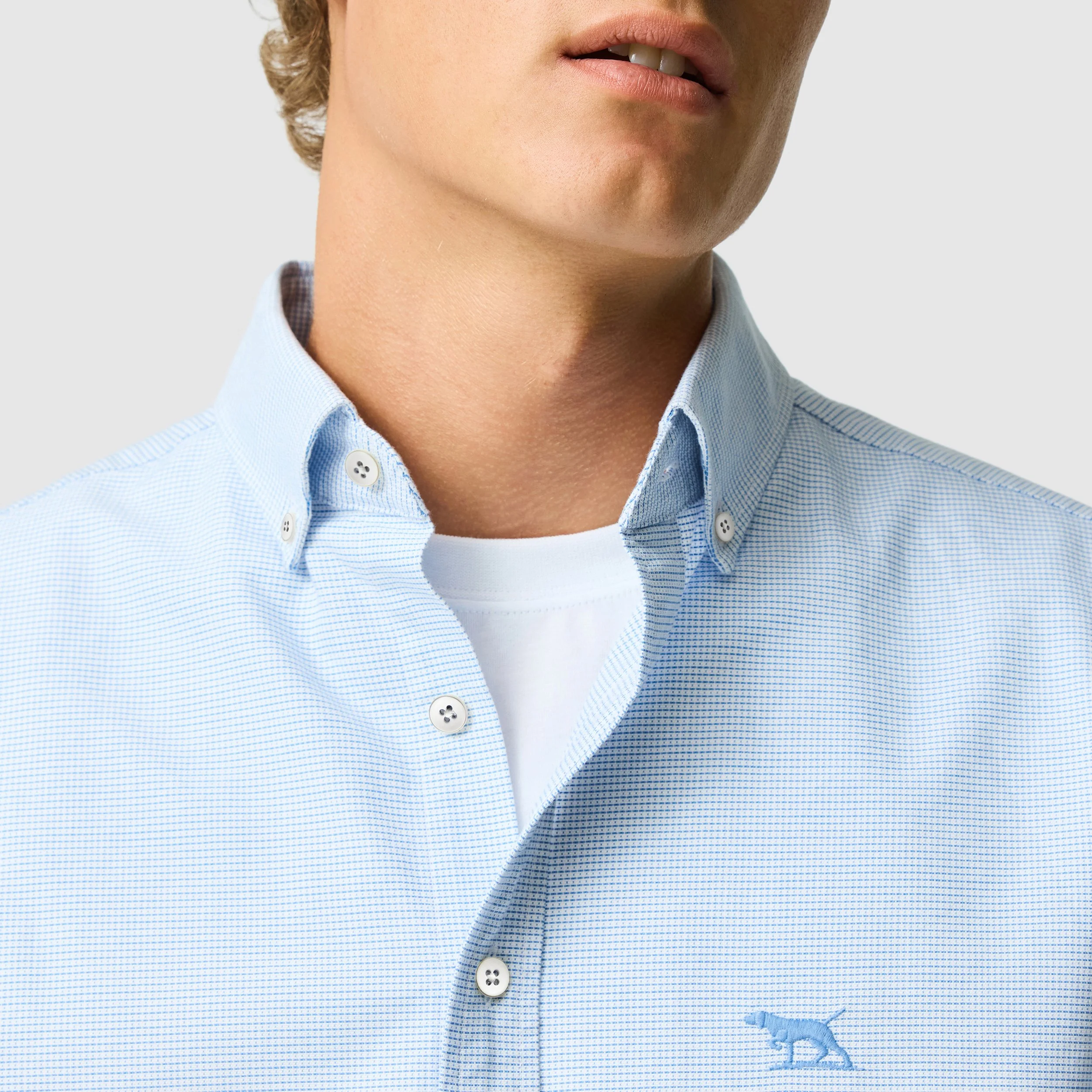 LP6804_POWDER-BLUE_DT3_LGE.jpg
