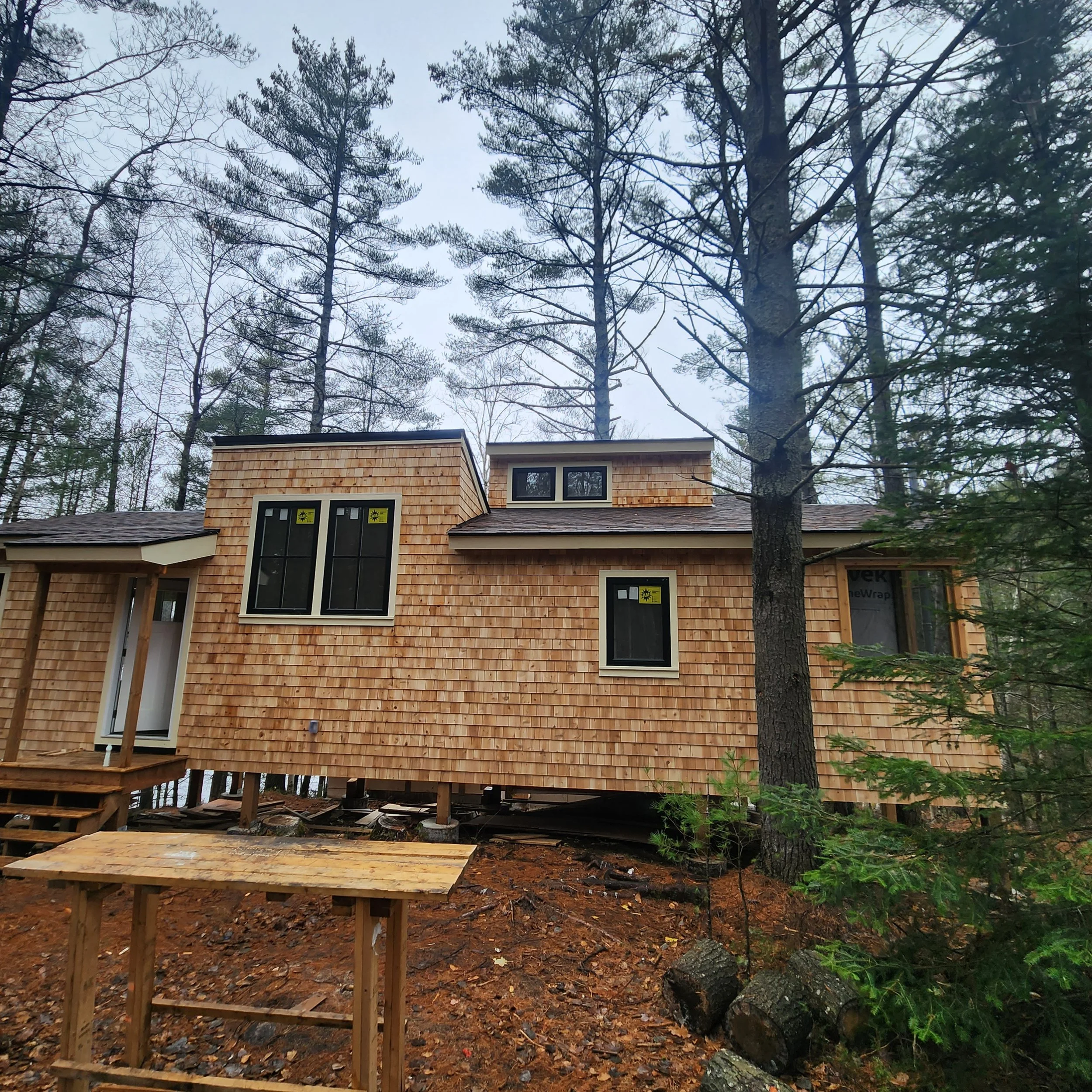 ground-up-constructing-muskoka-cottage-build-phase-1-exterior-forest-view.jpg